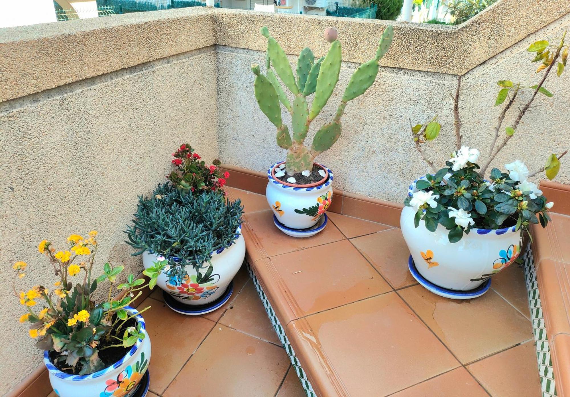 Casa De Buenos Dias Apartamento Torrevieja Exterior foto